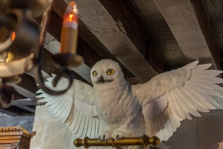 Le détail du décor de l’appartement