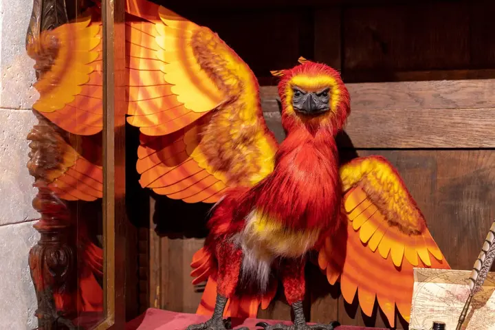 Le phénix aux ailes déployées