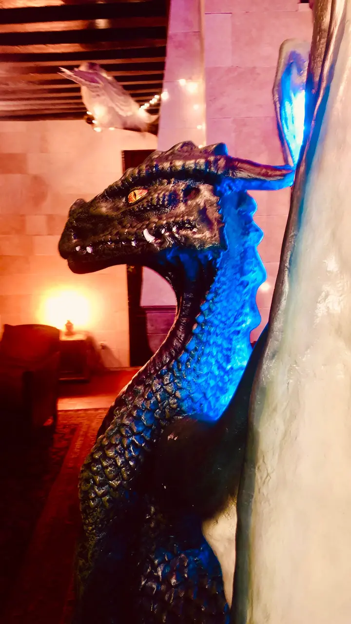 Le dragon lumineux qui veille dans la pénombre